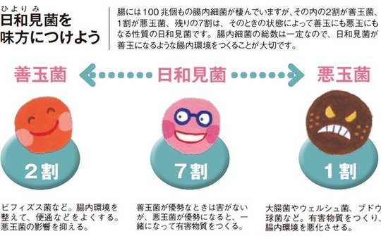 便秘症の種類と改善方法 - 鍼灸院なら一本鍼治療の上田端はり灸