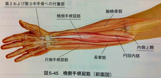 筋肉・関節の痛み（スポーツ障害） - 鍼灸院なら一本鍼治療の上田端