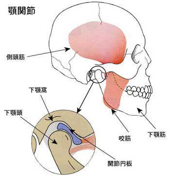 顎関節症の治療なら上田端はり灸整骨院 田端 鍼灸院なら上田端はり灸整骨院 顎関節症の治療なら上田端はり灸整骨院 田端 鍼灸院なら上田端はり灸整骨院